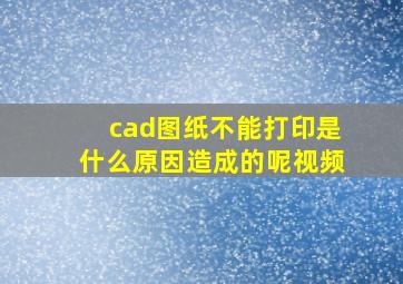 cad图纸不能打印是什么原因造成的呢视频