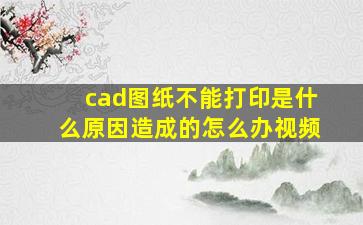 cad图纸不能打印是什么原因造成的怎么办视频