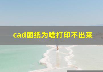 cad图纸为啥打印不出来