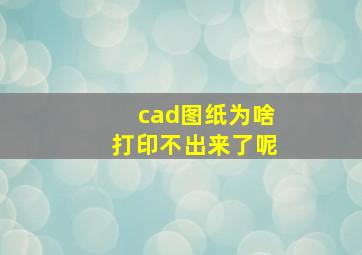 cad图纸为啥打印不出来了呢