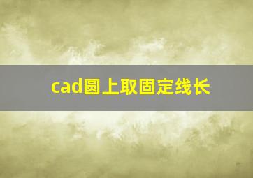 cad圆上取固定线长