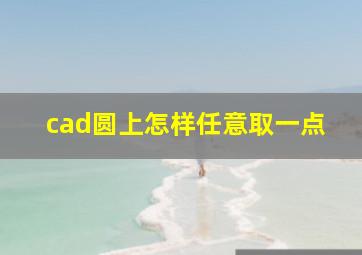 cad圆上怎样任意取一点