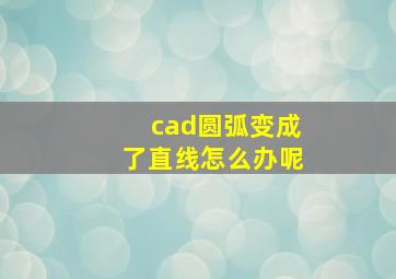 cad圆弧变成了直线怎么办呢