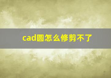 cad圆怎么修剪不了