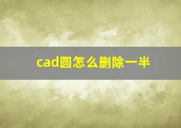 cad圆怎么删除一半