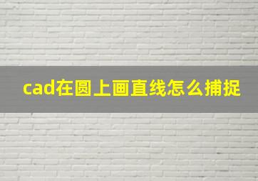 cad在圆上画直线怎么捕捉