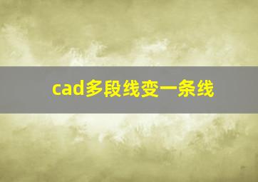 cad多段线变一条线