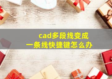 cad多段线变成一条线快捷键怎么办