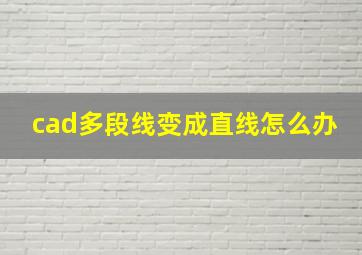 cad多段线变成直线怎么办