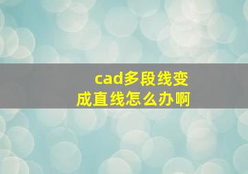 cad多段线变成直线怎么办啊