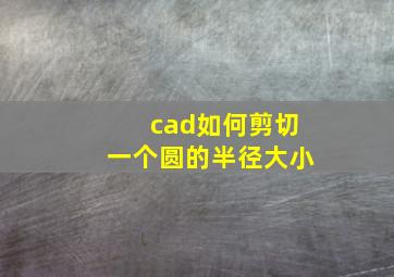 cad如何剪切一个圆的半径大小