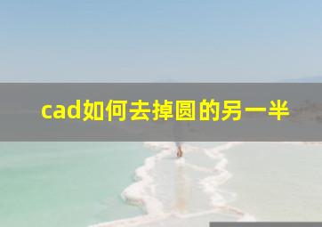 cad如何去掉圆的另一半