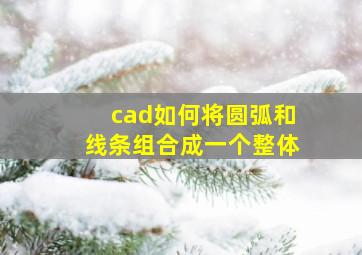 cad如何将圆弧和线条组合成一个整体