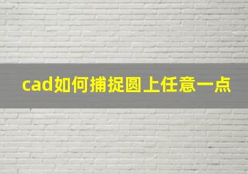 cad如何捕捉圆上任意一点