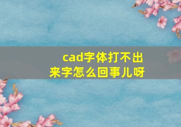 cad字体打不出来字怎么回事儿呀