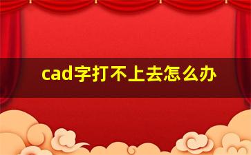 cad字打不上去怎么办