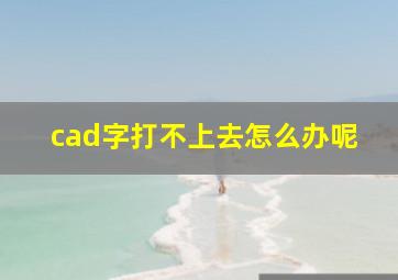 cad字打不上去怎么办呢