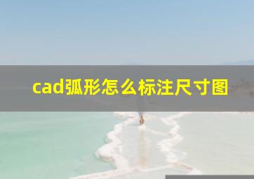 cad弧形怎么标注尺寸图