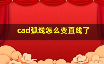 cad弧线怎么变直线了