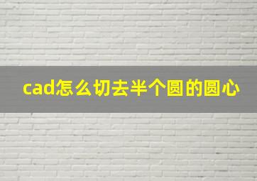 cad怎么切去半个圆的圆心