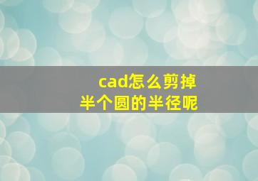 cad怎么剪掉半个圆的半径呢