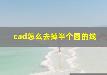 cad怎么去掉半个圆的线