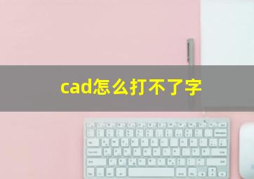 cad怎么打不了字