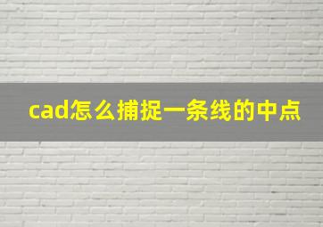 cad怎么捕捉一条线的中点