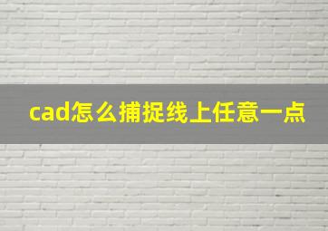 cad怎么捕捉线上任意一点