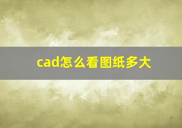 cad怎么看图纸多大