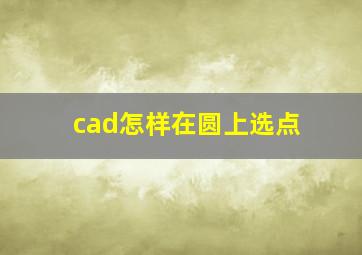 cad怎样在圆上选点