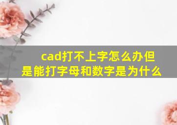 cad打不上字怎么办但是能打字母和数字是为什么