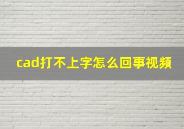 cad打不上字怎么回事视频