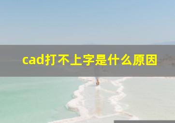 cad打不上字是什么原因