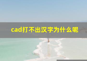 cad打不出汉字为什么呢