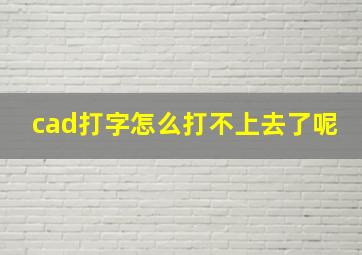 cad打字怎么打不上去了呢