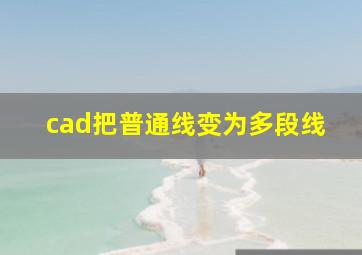 cad把普通线变为多段线