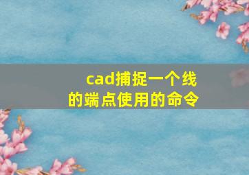 cad捕捉一个线的端点使用的命令