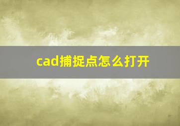 cad捕捉点怎么打开