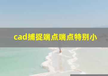 cad捕捉端点端点特别小