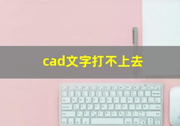 cad文字打不上去