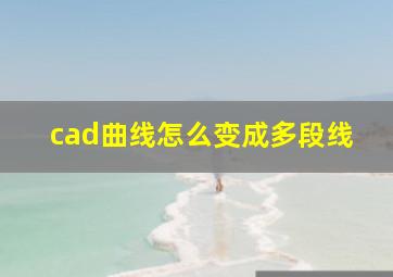 cad曲线怎么变成多段线