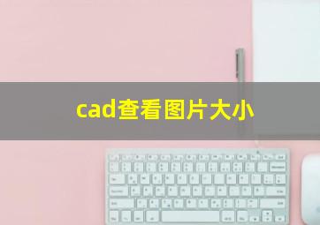 cad查看图片大小