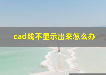 cad线不显示出来怎么办