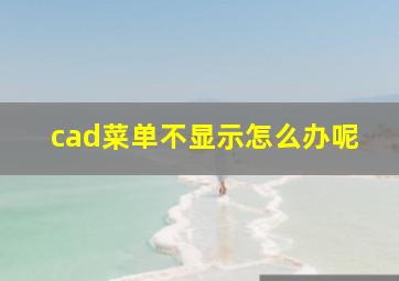 cad菜单不显示怎么办呢