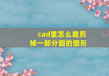 cad里怎么裁剪掉一部分圆的图形