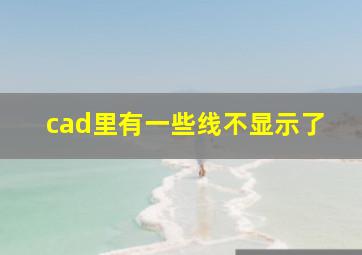 cad里有一些线不显示了