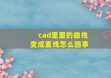 cad里面的曲线变成直线怎么回事