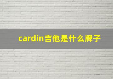 cardin吉他是什么牌子