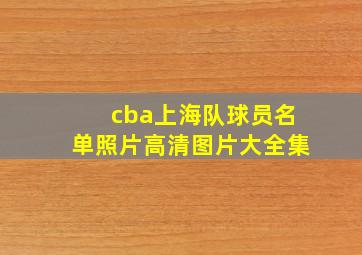 cba上海队球员名单照片高清图片大全集